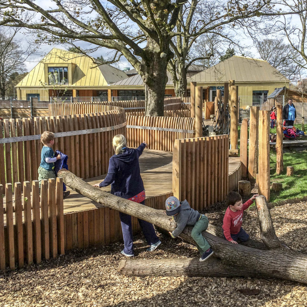 Arcadia Nursery, University of Edinburgh, Nursery garden with board walk. Children playing. Malcolm Fraser Architects