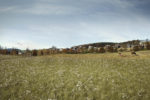 Athron Hill, Kinross-shire, visualisation: meadow and houses.