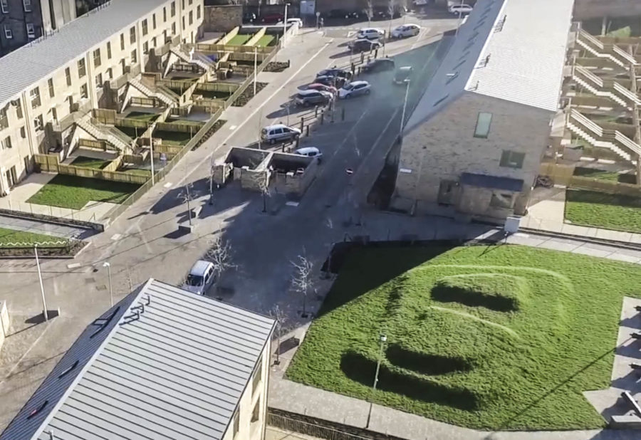 Leith Fort colonies from the air