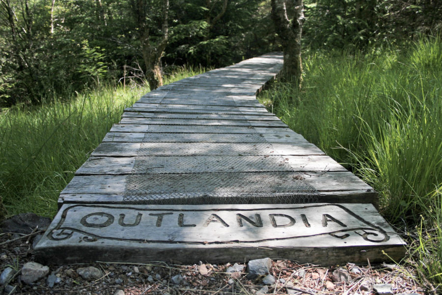 Wooden boardwalk through woodland to Outlandia Field Station