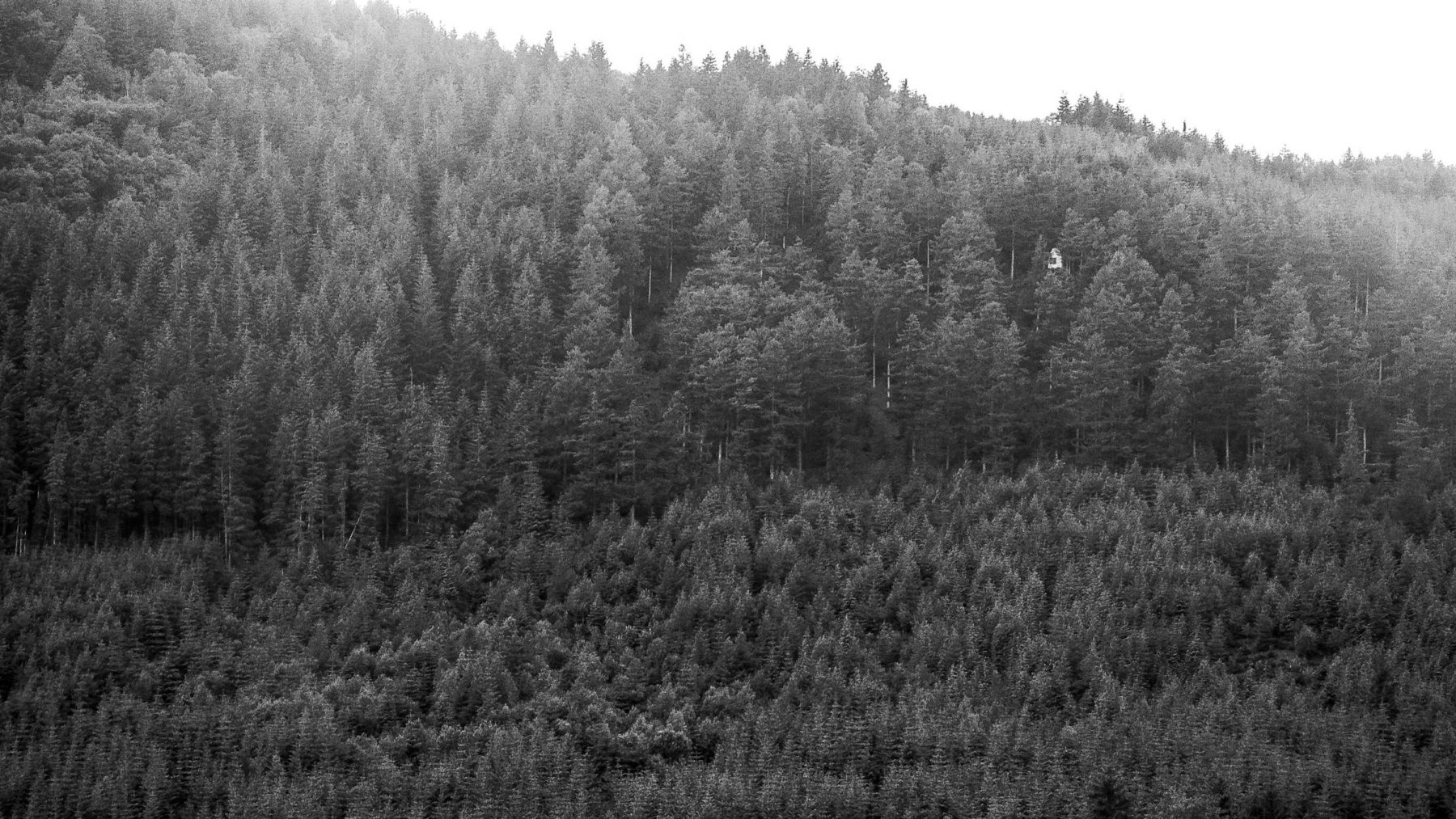 Outlandia Artist's Fieldstation seen from across Glencoe, amongst trees