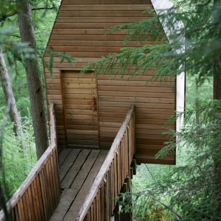 Outlandia Field Station, Glencoe. Wooden cabin amongst the treetops with trapezoidal roof